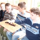 Świat na wielu nogach